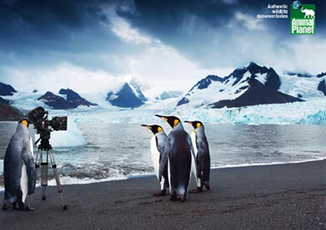 BBC Worldwide sells Animal Planet stake to Discovery for US$156m