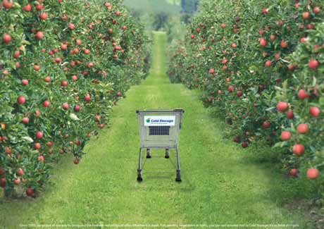 Cold Storage delivers simple ads for branding campaign