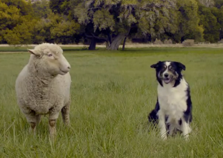 Blackberry launches global campaign: People of action