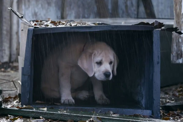 Ad Nut: What do you mean the Super Bowl didn't happen yet?