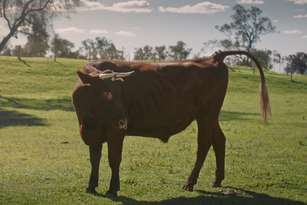 If a bull shits in an ad, does anyone hear the brand message?