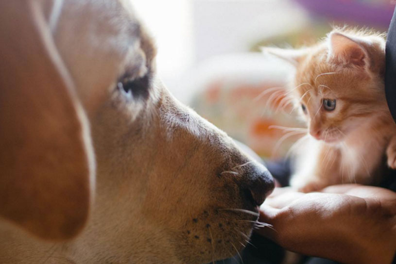 Engagement Meter: The week's top 15 social brand posts