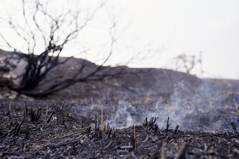 Businesses are no longer trusted on climate change: Edelman report