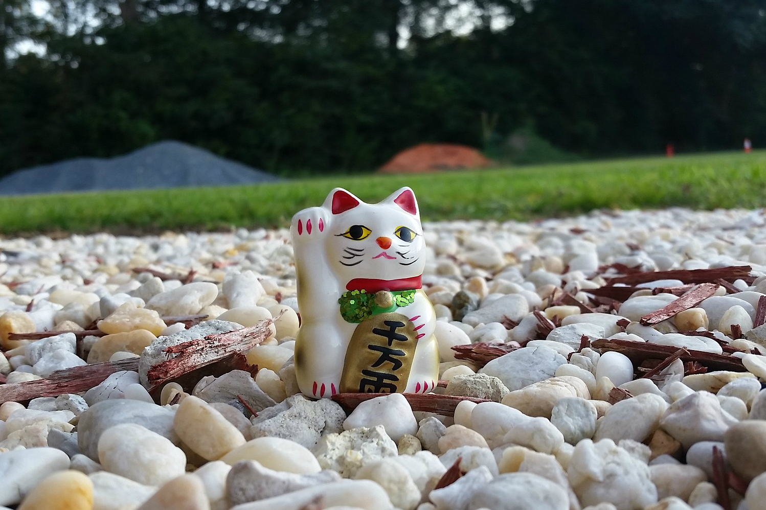 How to manage compliance risk in China