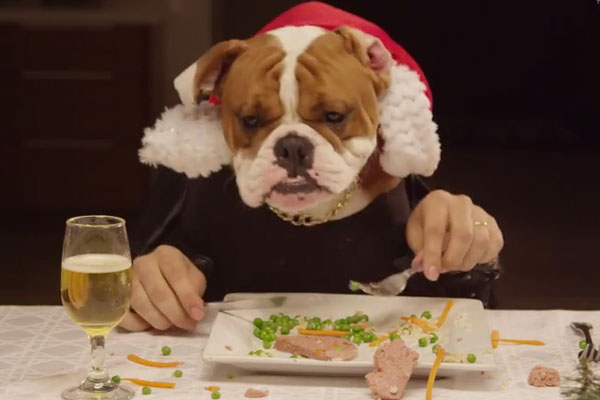 Ad Nut: Feasting dogs, a bizarre robot baby and an irresistible owl 