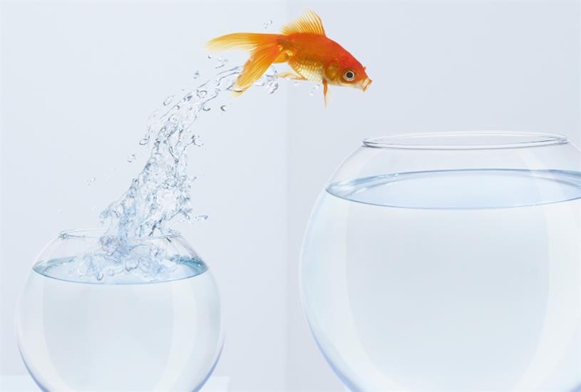 Why marketers have to think small to win big