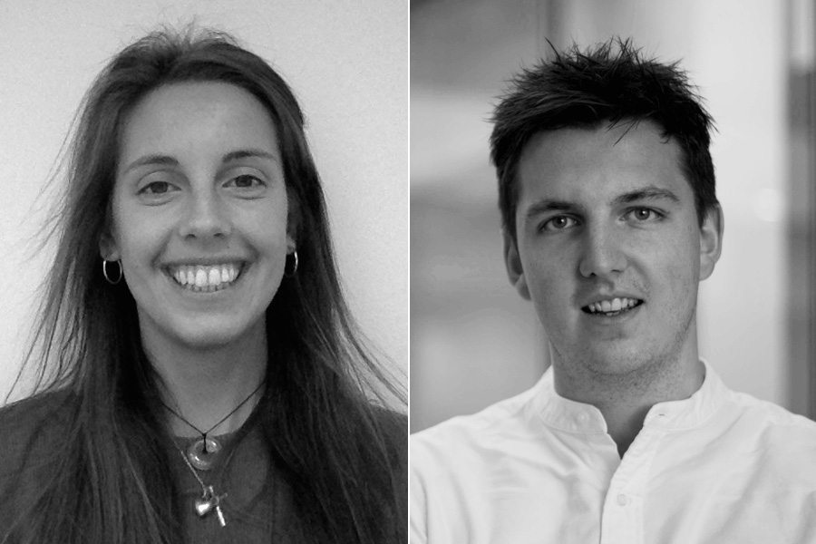 Big data: The journey into the forest