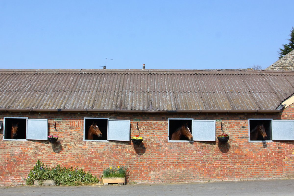 When advertisers hoard hot agencies