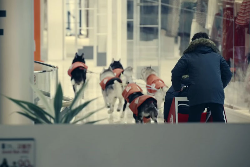 Dogsledding in a mall: The North Face's non-virtual reality 