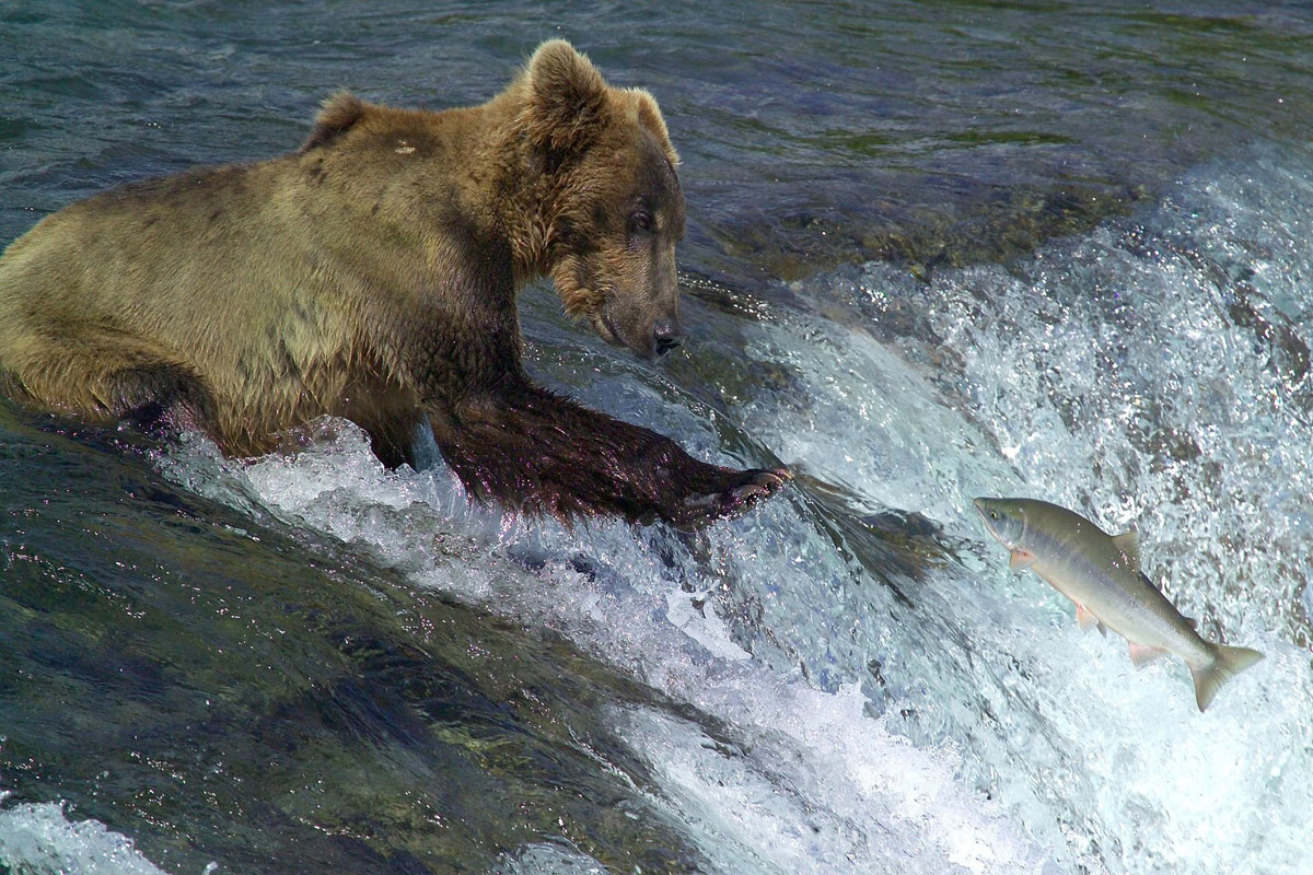 Our risky obsession with digital