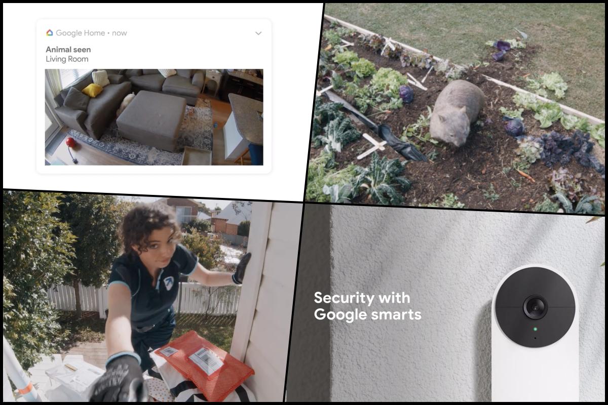 Package deliveries and wombat incursions caught on camera