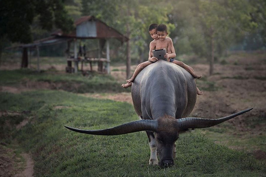 Engagement Meter: The week's top brand posts on Facebook, Twitter and Instagram