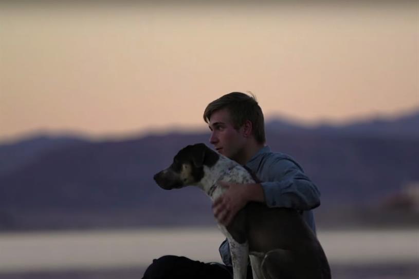 Pedigree 'Feed the Good': How one idea is being interpreted around the world