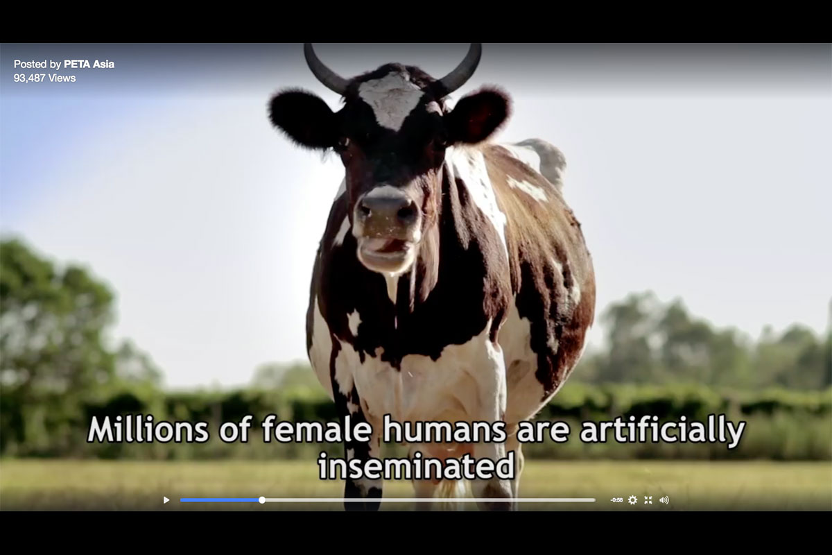 'Animals for the Ethical Treatment of People' launches