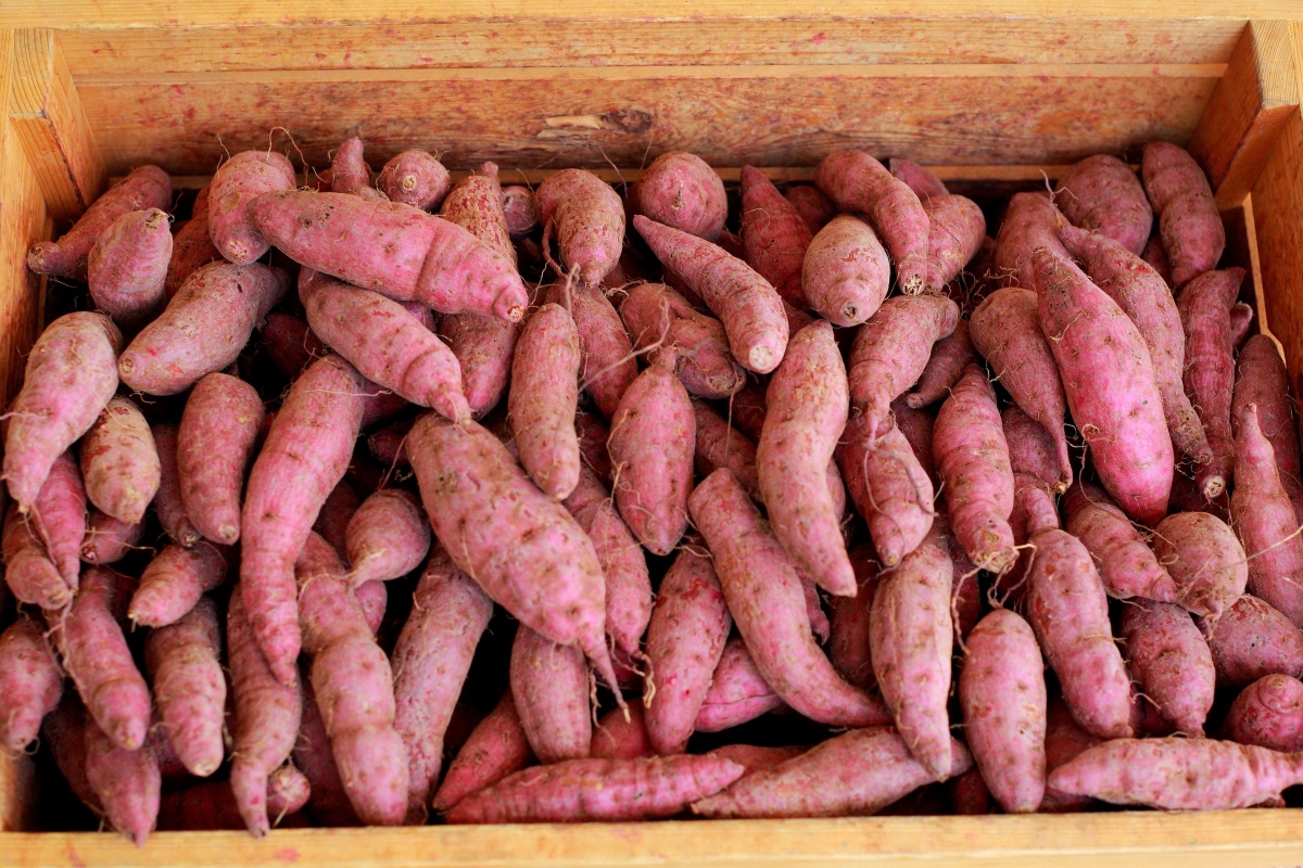 Let's make potato trading great again!