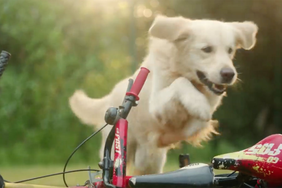 Insurance industry social-media trends and top content