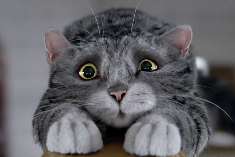 You won't soon forget 'Mog's Christmas calamity'