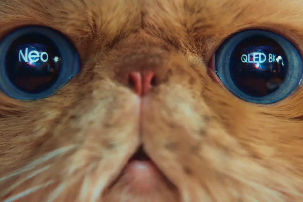 Samsung’s new ad has a grouchy cat see in 8K 