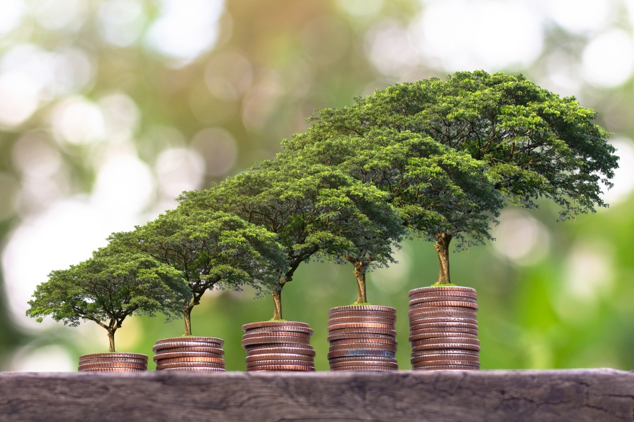 Indian consumers think politics and marketing should mix, Chinese do not