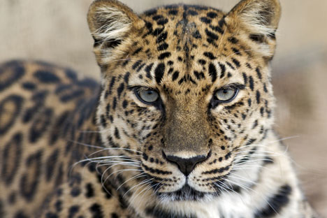 Brand-building series: Why marketers need to go on safari