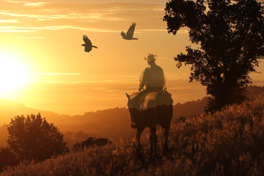 Focus shifts away from the big agency brand