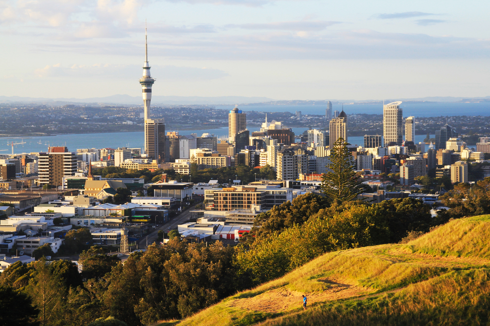 Brand-faithful, fairly optimistic and prone to save: NZ consumers
