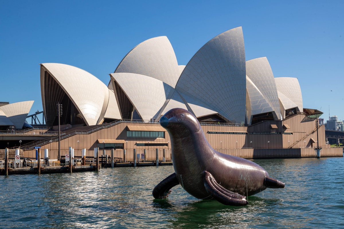 Sydney Opera House unveils promotional pinniped