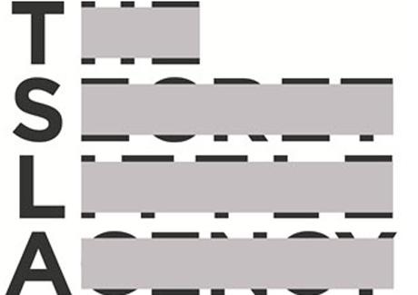 TSLA receives second top independent agency nod