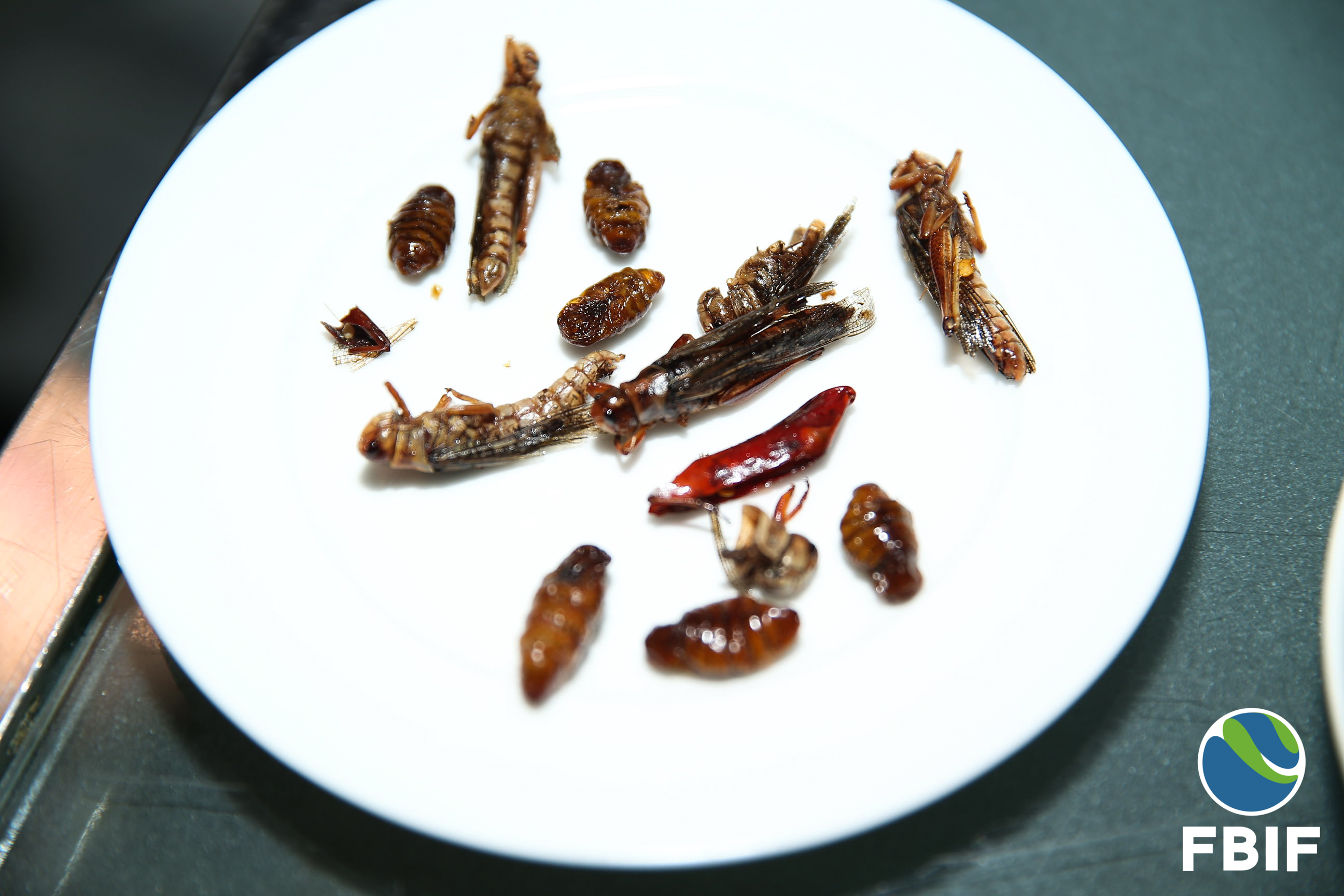 Edible insects are crawling to a plate near you, but don't cringe