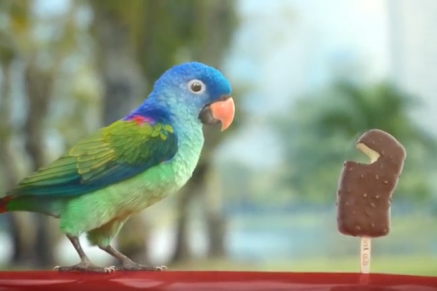 Even if Wall's could speak, it has no luck with a parakeet