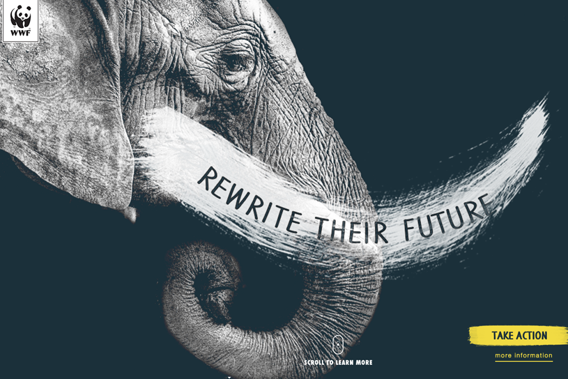WWF asks HK to rename tusks to save elephants 