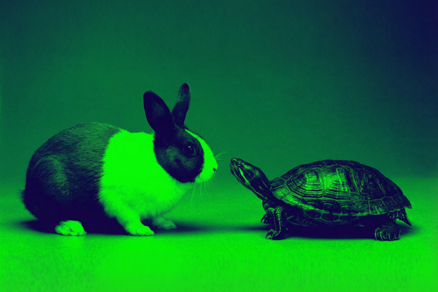 If you want your campaign to go to market quickly, the best thing you can do is slow down